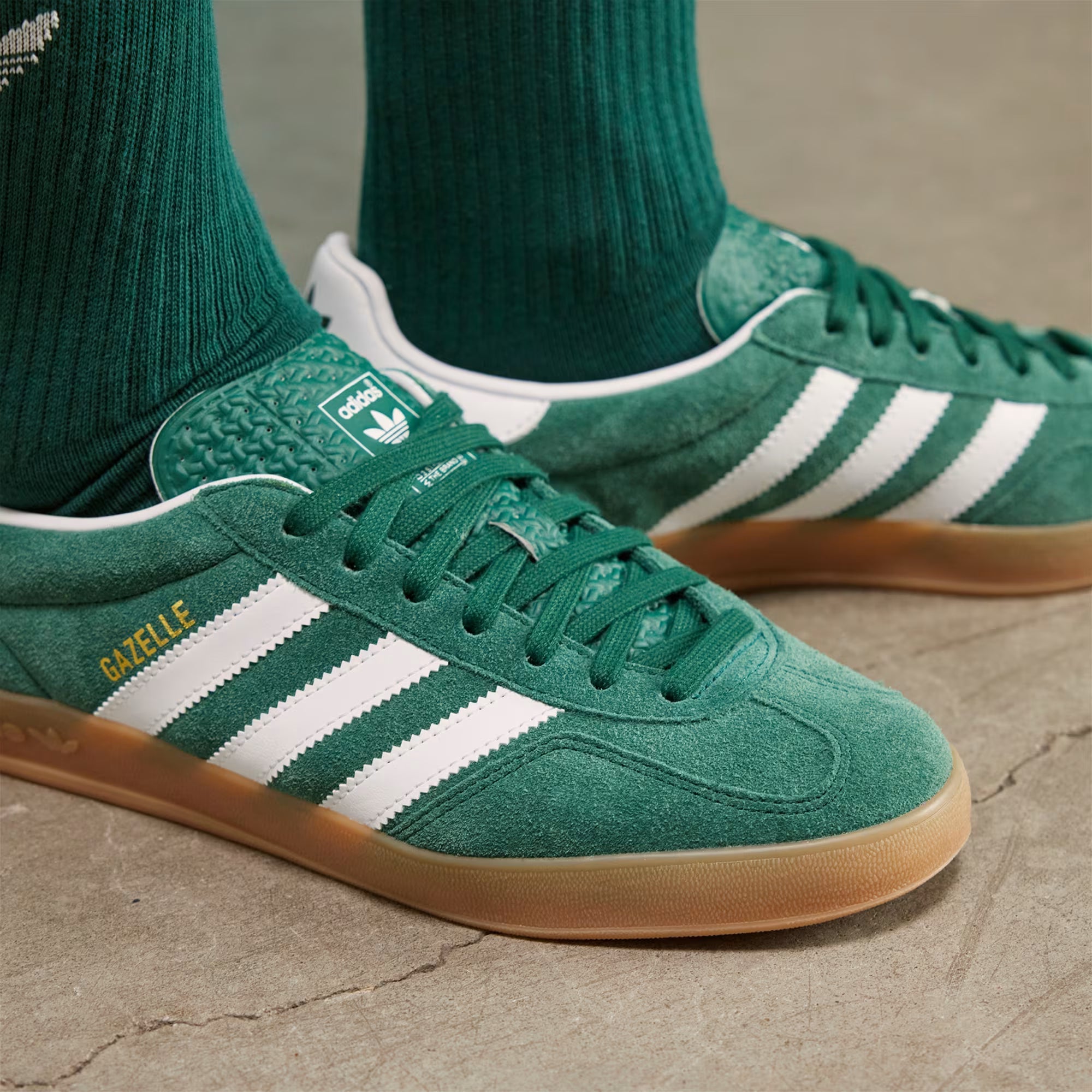 Gazelle indoor